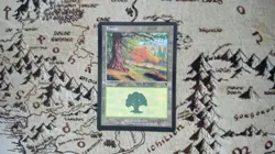 Forest (349) - Odyssey - 349 - #Lightly Played Magic the Gathering - Image 1