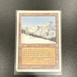 Wizards of the Coast Taiga Revised Edition Rare Land Card - Image 1