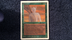 CAMOUFLAGE UNLIMITED uncommon Magic the Gathering - Image 2