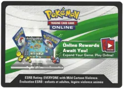 POKEMON PTCGO SWSH UNUSED Elite Trainer Box Zamazenta ENSWSH1ETBZMZ ONLINE CODE - Image 2