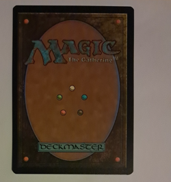 Restless Reef Borderless NM/M Magic the Gathering Lost Caverns Of Ixalan LCI MTG - Image 2