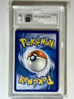 TAG 9 Phanpy 205/191 Illustration Rare 2024 Pokemon Surging Sparks TCG - Image 2