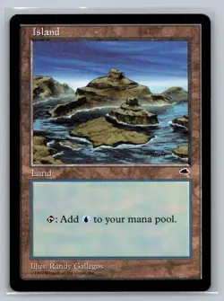 Island (Inlet) NM Tempest Magic the Gathering MTG - Image 1