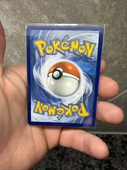 M Sharpedo EX XY200 Promo XY Promos Pokemon Card - Image 2