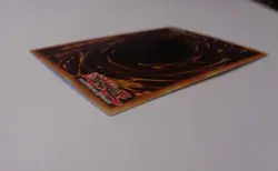 Torrential Tribute SDDE-EN031 (Common, 1st Edition, Excellent / VLP) Yugioh - Image 5