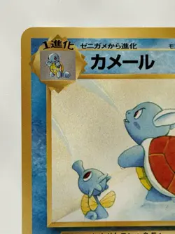 Wartortle No.008 Southern Islands Vintage Old back | Japanese pokemon card - Image 2