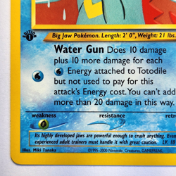 Totodile 85/105 Pokemon TCG 1st Edition Neo Destiny NM Vintage 2002 Card - Image 5