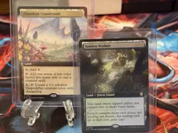 Abundant Countryside (Extended Art) Commander: Lorwyn Eclipsed Regular + Bonus🔥 - Image 1