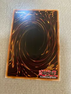 Yu-Gi-Oh! secret sect druid dru mint common 1st ed SHSP-EN009 - Image 2