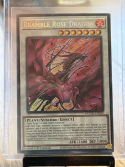 Bramble Rose Dragon DOOD-EN039 Secret Rare 1st Edition Near Mint Yu-Gi-Oh! - Image 1