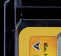 2020 POKEMON SWORD & SHIELD VIVID VOLTAGE #050/185 RAIKOU AMAZING RARE - Image 3