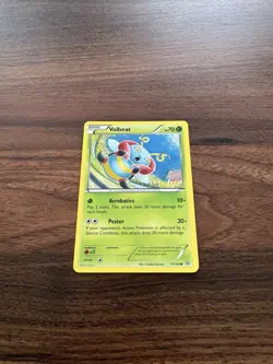 Volbeat 17/160 - LP - XY Primal Clash Pokemon Card - Tomokazu Komiya Art NM - Image 2