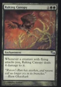 Raking Canopy - Shadowmoor: #127, Magic: The Gathering Nm C281 - Image 1