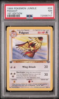PSA 7 NM 1999 POKEMON JUNGLE PIDGEOT NON HOLO #24 1ST EDITION ENGLISH - Image 1