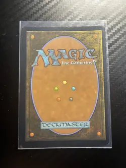 1x Frenzied Baloth, Extended Art Foil, Magic MTG NM - Image 2