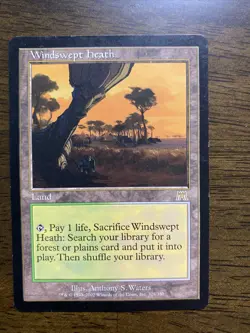 MTG - Windswept Heath - Onslaught - LP - Image 1