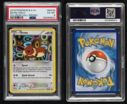 Eevee Pokemon Black & White Black Star Promo PSA 6 - Image 3