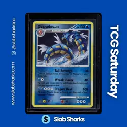 2008 POKEMON DIAMOND & PEARL STORMFRONT #19/100 GYARADOS REVERSE HOLO - Image 1