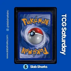 2008 POKEMON DIAMOND & PEARL STORMFRONT #19/100 GYARADOS REVERSE HOLO - Image 2