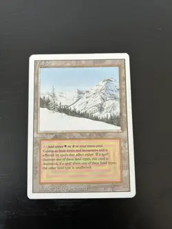 Magic: The Gathering Taiga 3rd Edition/Revised PL - Image 1