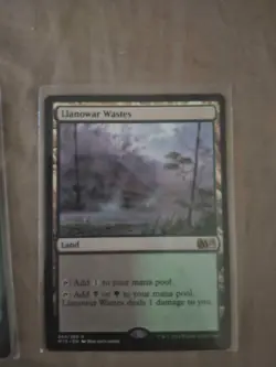 Llanowar Wastes M15 2015 *NEAR MINT* *ACTUAL PHOTO* - Image 1