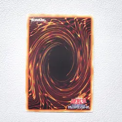 Yu-Gi-Oh Toon Dark Magician Girl PGB1-JP021 Millennium Rare MINT Japanese g937 - Image 3