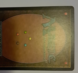 Watery Grave LP Magic the Gathering Gatecrash MTG - Image 5