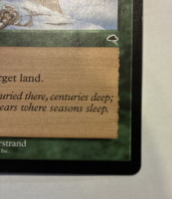 Winter's Grasp LP Tempest Magic the Gathering TMP #265 1997 - Image 3