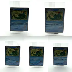 Pokemon TCG Illustration Contest 2024 Promo Cards SEALED - All 3 Promos LOT OF 5 - Image 1