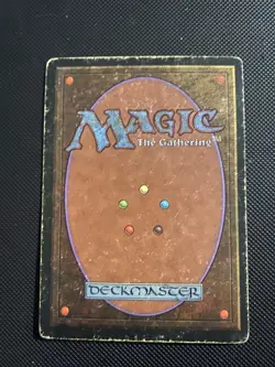 Bayou - Hp - Heavy Play MTG Revised - Image 2