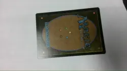 mtg Enduring Vitality - Image 2