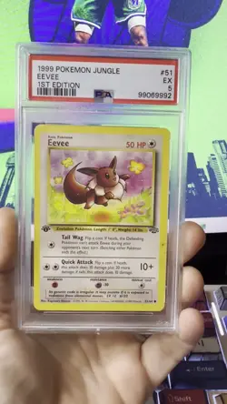 Pokemon TCG English Vintage Graded 1999 Jungle 1st Edition Eevee PSA 5 51/64 - Image 2