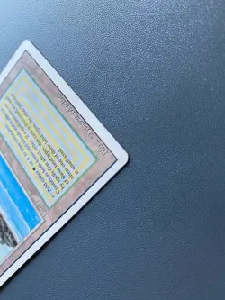 Tropical Island Revised Edition - MTG Rare - Image 3