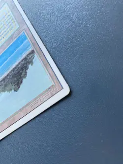 Tropical Island Revised Edition - MTG Rare - Image 4