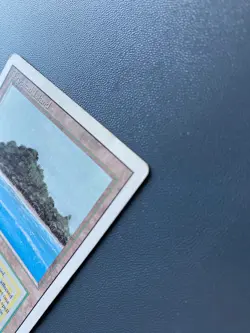 Tropical Island Revised Edition - MTG Rare - Image 5