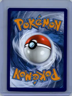Pokemon SWSH: Sword & Shield Promo Cards #SWSH117 Phanpy Near Mint or Better - Image 2