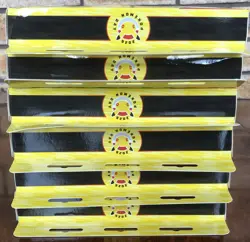 6 x Pokemon TCG: Pokemon Day 2026 - 30th Anniversary Collection Box - New Sealed - Image 5