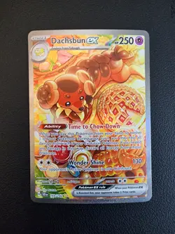 Pokemon: 1x Dachsbun ex - 169/142 - Special Illustration Rare - NM Stellar Crown - Image 1