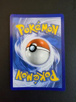 Pokemon: 1x Dachsbun ex - 169/142 - Special Illustration Rare - NM Stellar Crown - Image 2