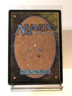 Abandoned Air Temple (Non-foil) Avatar: The Last Airbender 0263 Rare MTG - Image 2