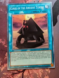 Curse of the Ancient Turtle SUDA-EN083 - Common - Yugioh - Image 1