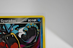 Pokemon TCG - Dark Gyarados 36/109 Team Rocket Returns Regular - NM - Image 2
