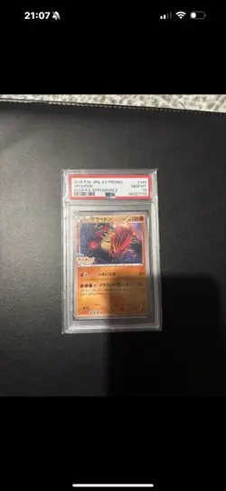 PSA 10 Groudon Promo 144/XY-P Hoopa's Campaign 2015 Pokemon Card Japanese - Image 3