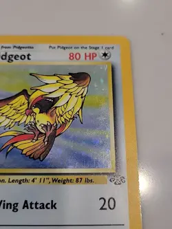 Pokemon TCG Pidgeot Jungle 8/64 Holo Unlimited Holo Rare LP - Image 5