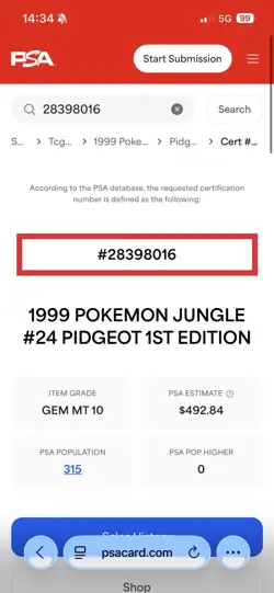 three psa10 pokemon cards 1st edition pidgeot pidgey and pidgeot 1999s 2001 mint - Image 3