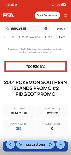 three psa10 pokemon cards 1st edition pidgeot pidgey and pidgeot 1999s 2001 mint - Image 4