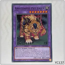 Amazoness Pet Liger - CIBR-EN094 - Common 1st Edition Yugioh (YC137) - Image 1