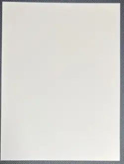 Honkai Impact 3rd Griseo Anime Polaroid Doujin Card v1 - Image 2