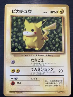 Pokemon Card Ivy Pikachu No. 025 Non Glossy Keiji Kinebuchi Promo PL - Image 1