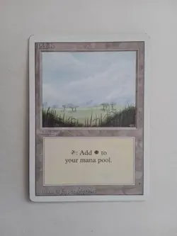 CARTA MAGIC MTG 1994 REVISED EDITION ENG PLAINS - Image 1